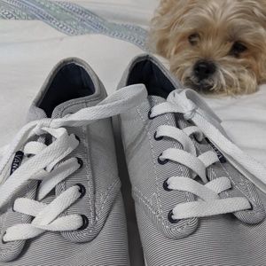 Vans Atwood Stripe Low Skate Shoes